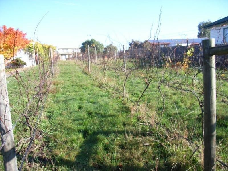 327  Gravelly Beach Road, Gravelly Beach TAS 7276