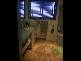 284 East Arm Road, Mount Direction TAS 7252