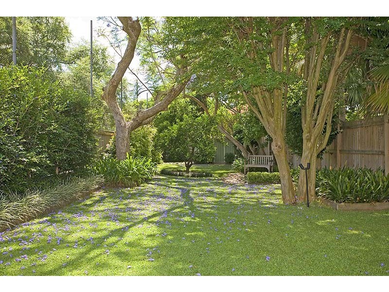41A  Ann Street, Willoughby NSW 2068
