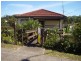 Cringila NSW 2502