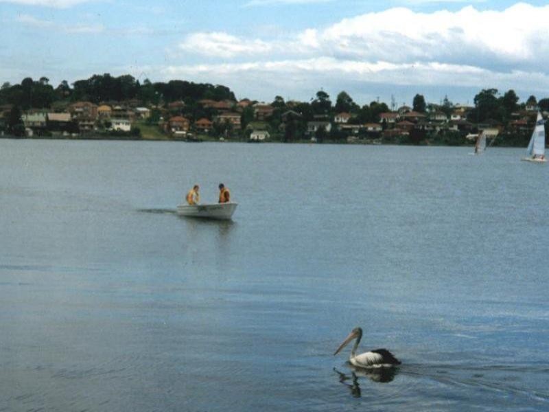 Lake Heights NSW 2502