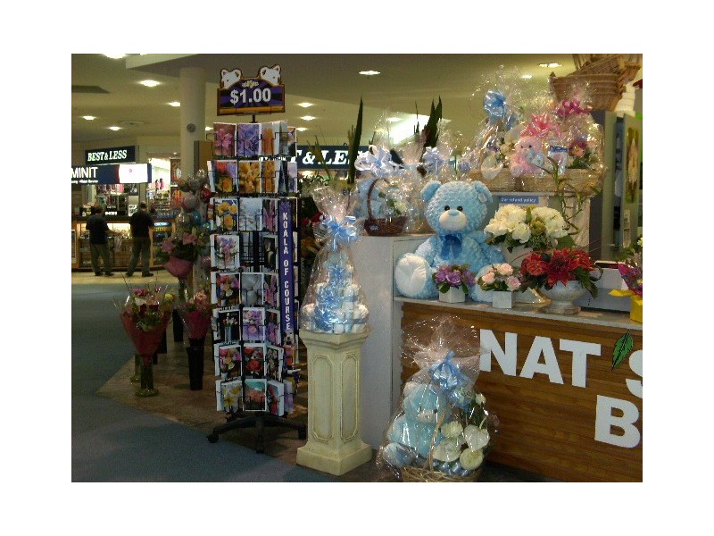 27 Ash Avenue, Wollongong NSW 2500