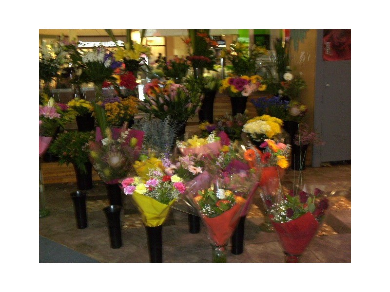 27 Ash Avenue, Wollongong NSW 2500