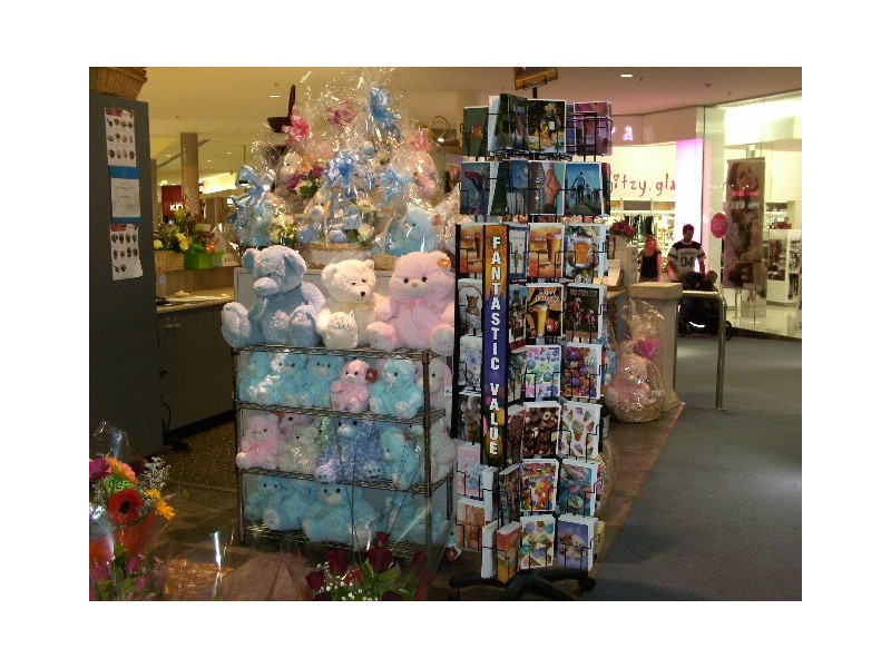 27 Ash Avenue, Wollongong NSW 2500