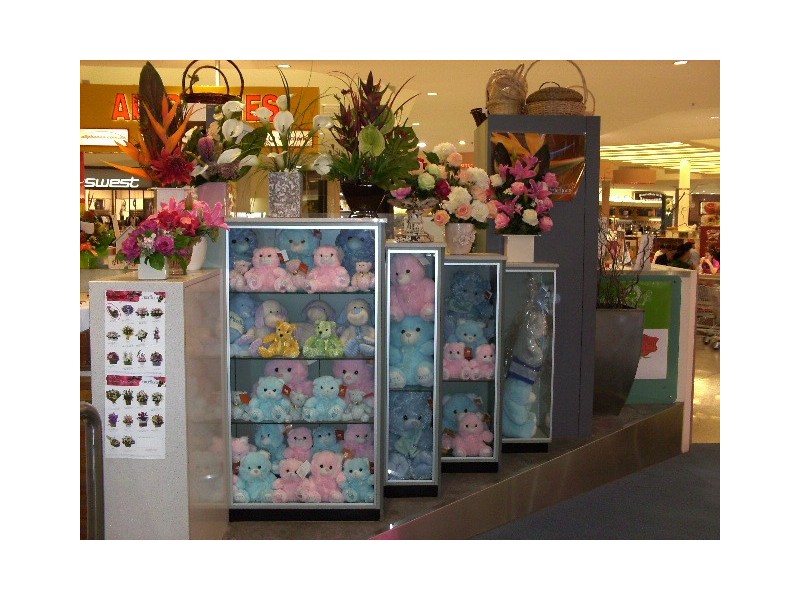 27 Ash Avenue, Wollongong NSW 2500