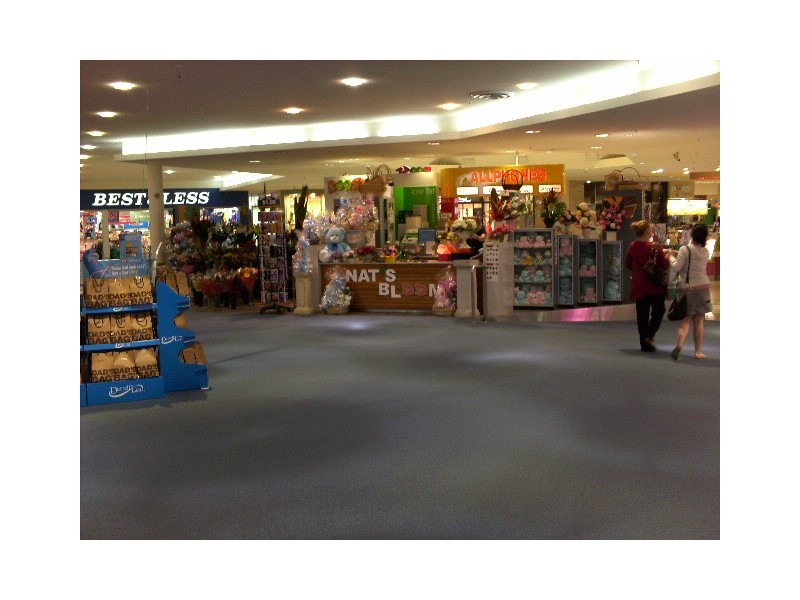 27 Ash Avenue, Wollongong NSW 2500