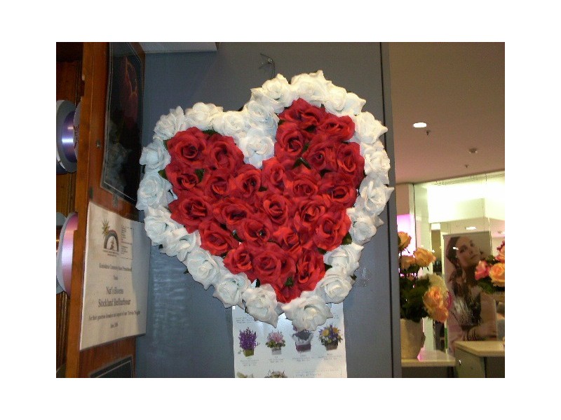 27 Ash Avenue, Wollongong NSW 2500