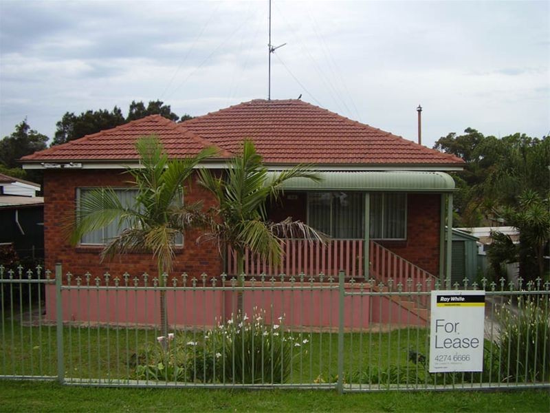 95 Denise Street, Lake Heights NSW 2502