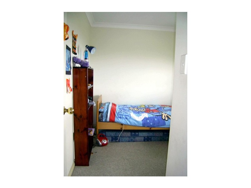 19 Whimbrel Avenue, Berkeley NSW 2506