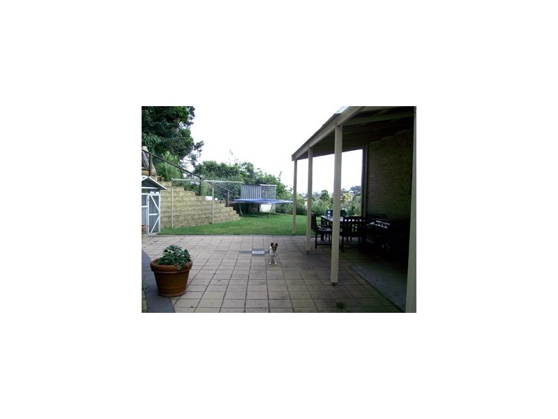 19 Whimbrel Avenue, Berkeley NSW 2506