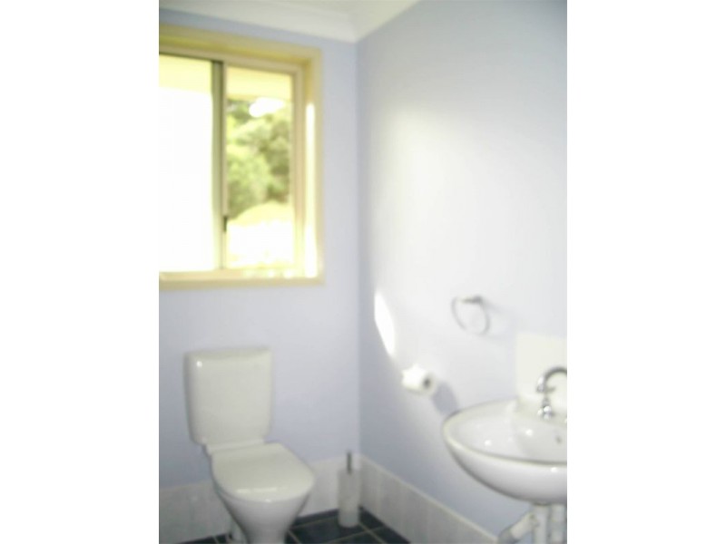 19 Whimbrel Avenue, Berkeley NSW 2506