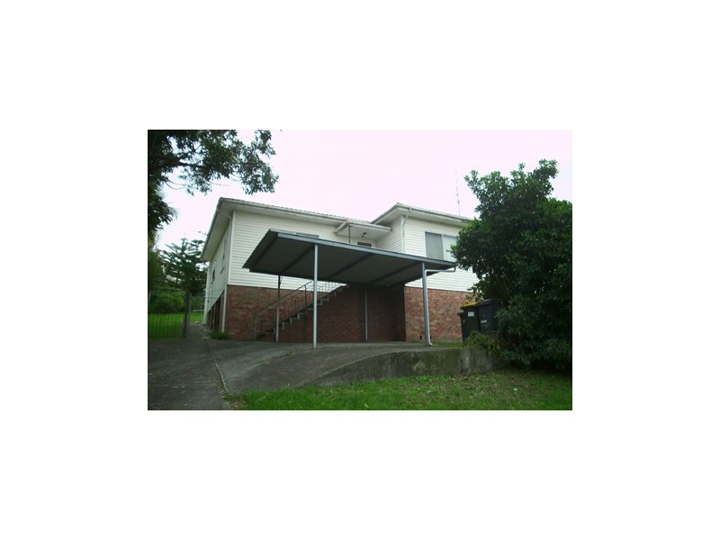 58 Denise Street, Lake Heights NSW 2502