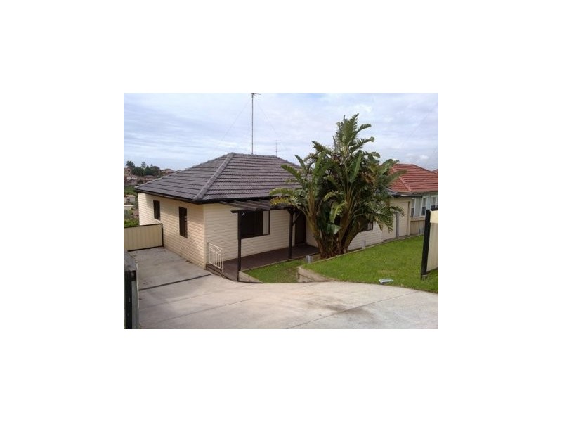 25 Minnegang Street, Warrawong NSW 2502