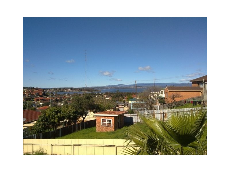 25 Minnegang Street, Warrawong NSW 2502