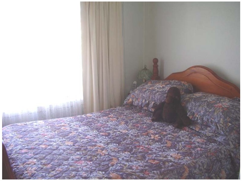 Port Kembla NSW 2505