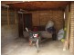 341 Farmborough Road, Farmborough Heights NSW 2526