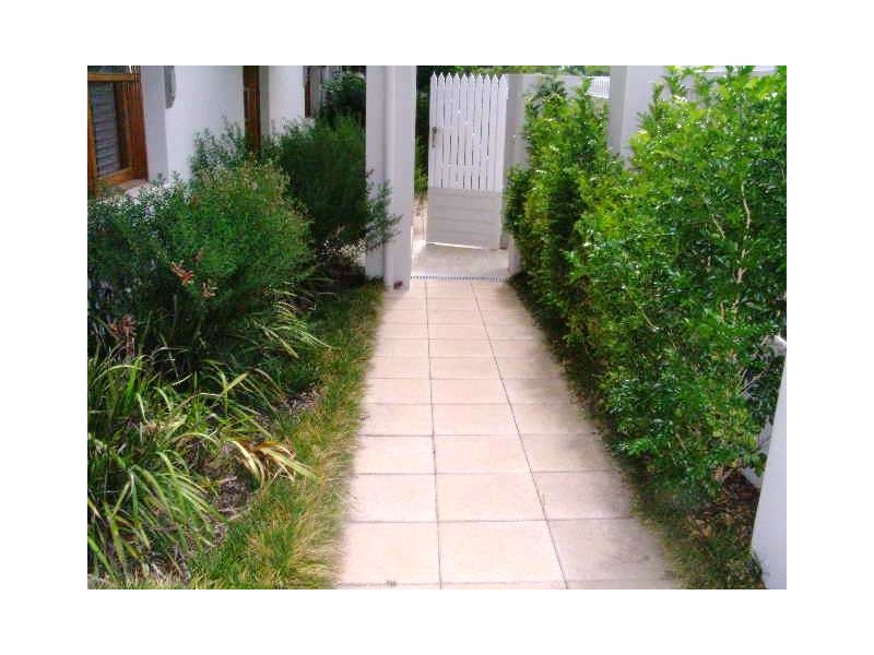 29 Helena Street, Randwick NSW 2031