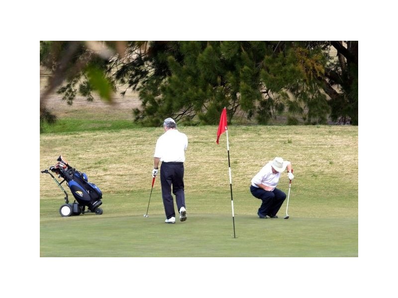 60 Lenthall Street, Kensington NSW 2033