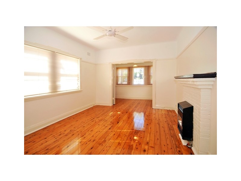 1/41 Albion St, Waverley NSW 2024