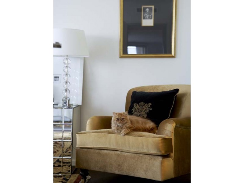 1706/1 Kings Cross Rd, Rushcutters Bay NSW 2011