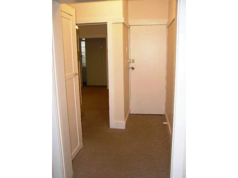2/10 Figtree Street, Randwick NSW 2031