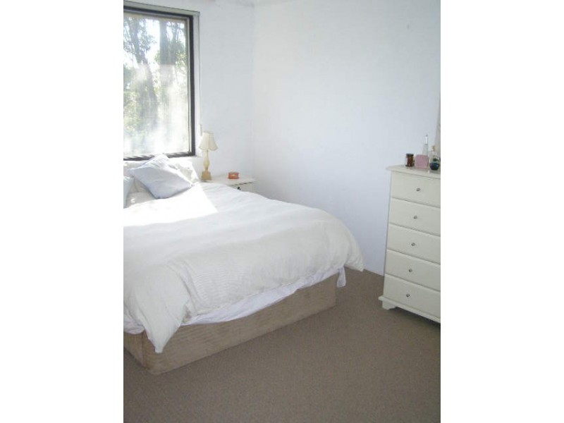 56/6-8 Frances Street, Randwick NSW 2031