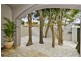 65A Carrington Road Randwick/, Clovelly NSW 2031