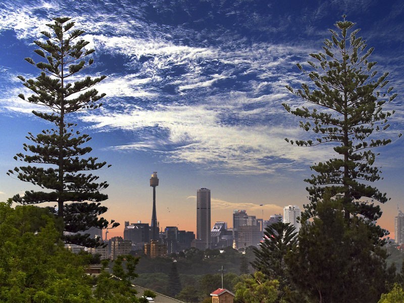 5 Fraser Street, Randwick NSW 2031