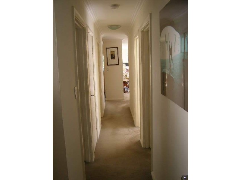 5/27  Waratah Street, Rushcutters Bay NSW 2011