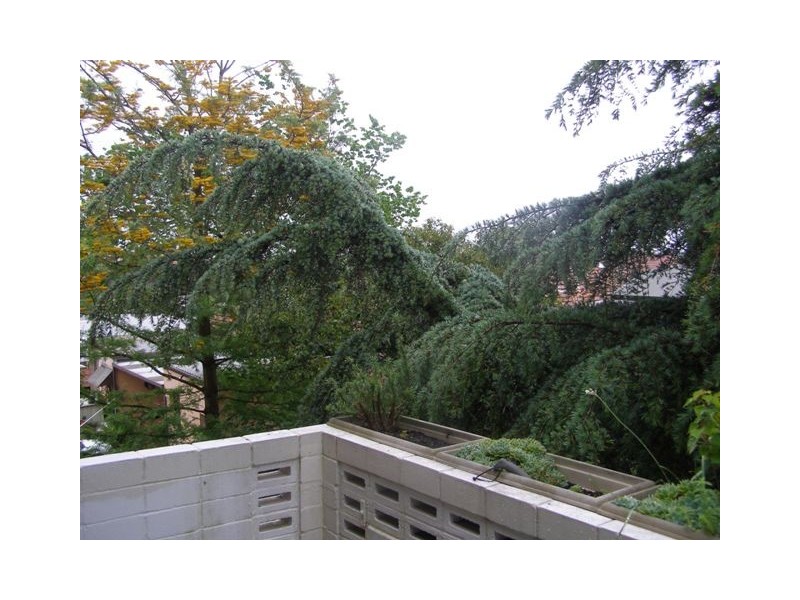 48/42  Avoca Street, Randwick NSW 2031