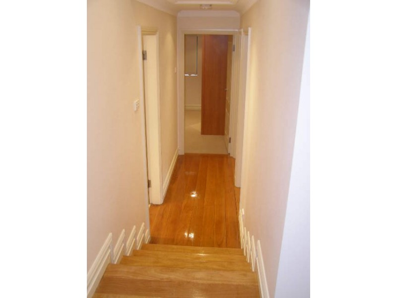 3  Hall Street, Chifley NSW 2036