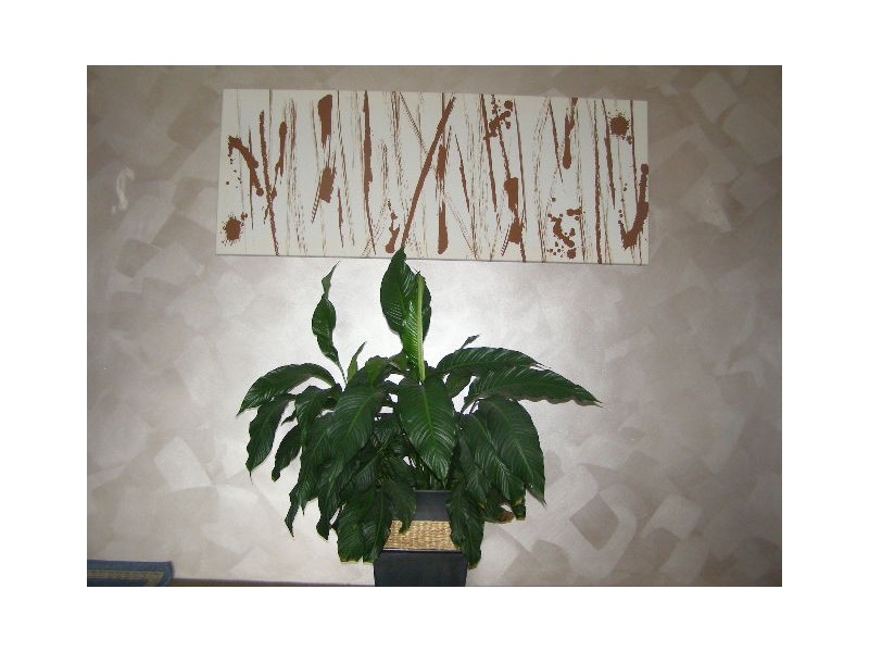 12/44  Oberon Street, Randwick NSW 2031