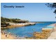 16 Flood Street, Clovelly NSW 2031