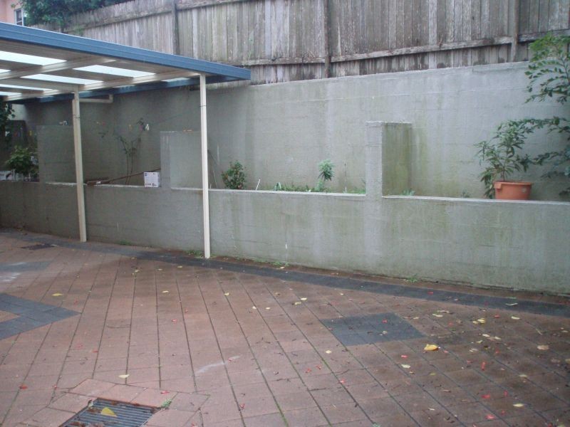 8/141  Oberon Street, Coogee NSW 2034