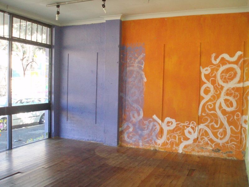 112a Burton Street, Darlinghurst NSW 2010