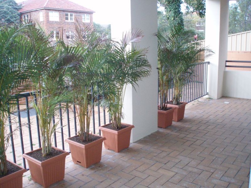 2/75-79   Coogee Bay Road, Coogee NSW 2034