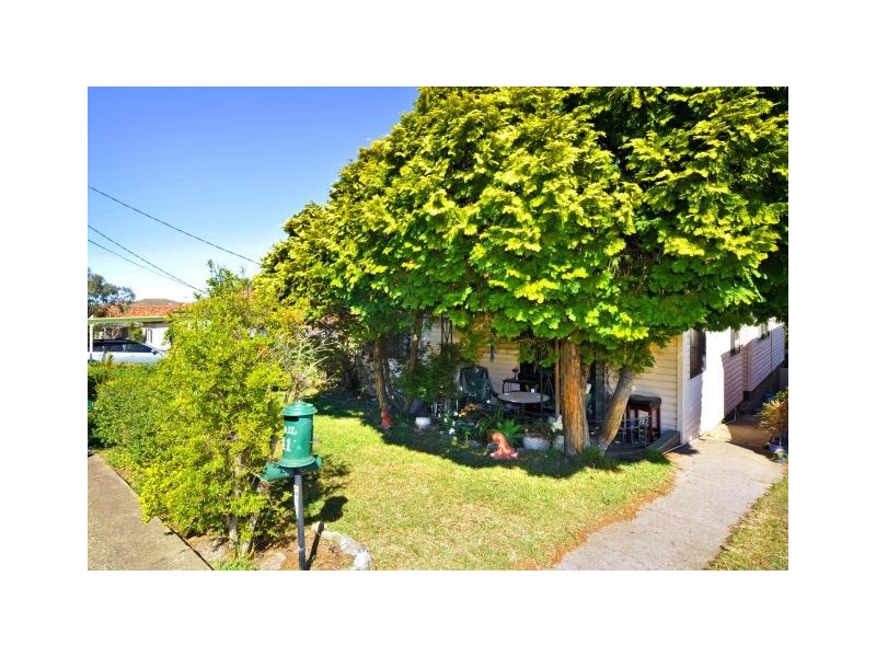 41 Trevelyan Street, Botany NSW 2019