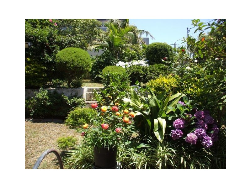 2 Duncan St, Maroubra NSW 2035