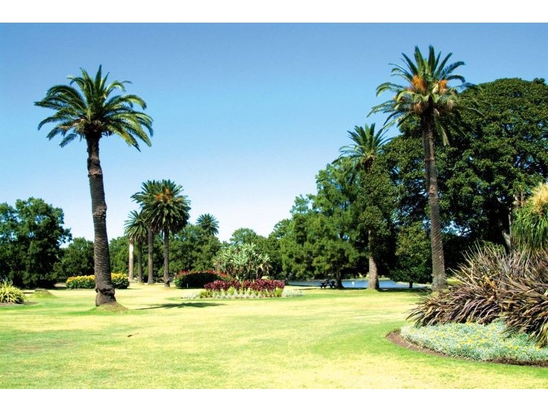 145 Todman Avenue, Kensington NSW 2033