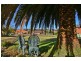 92 Barney Street, Kiama NSW 2533