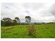 Lot 4 Whistlers Run, Albion Park NSW 2527