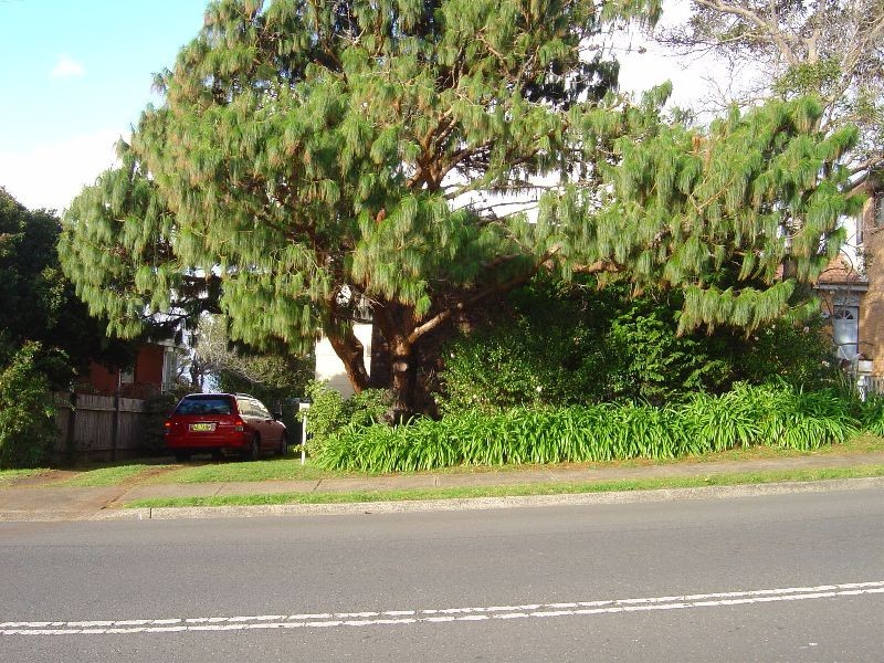 62 Fern Street, Gerringong NSW 2534