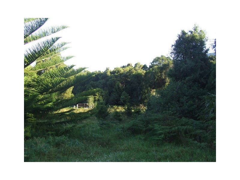 568 Fox Ground Road, Foxground NSW 2534