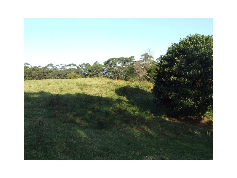 568 Fox Ground Road, Foxground NSW 2534