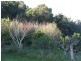 568 Fox Ground Road, Foxground NSW 2534