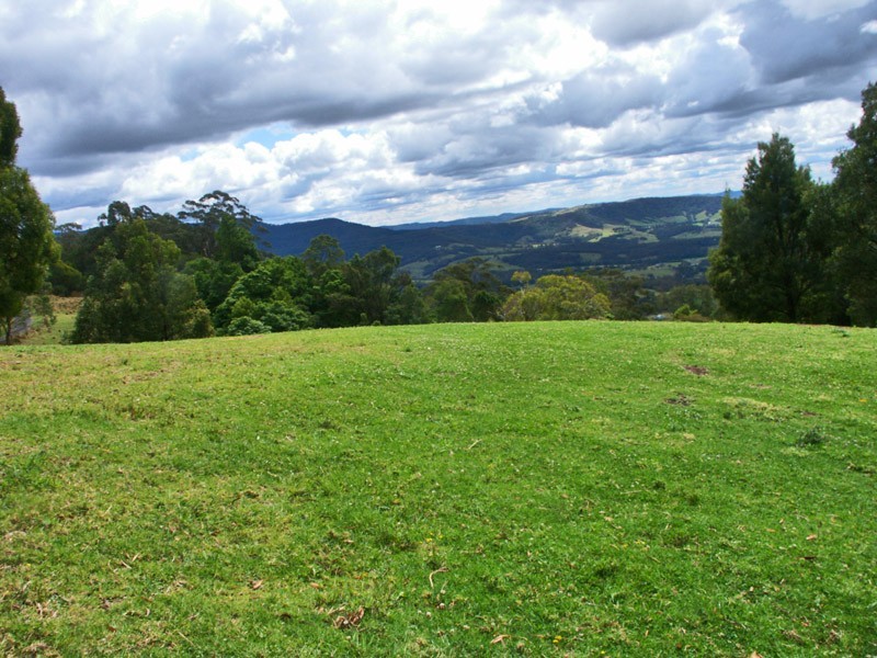 Lot 601 Wallaby Hill Road, Jamberoo NSW 2533