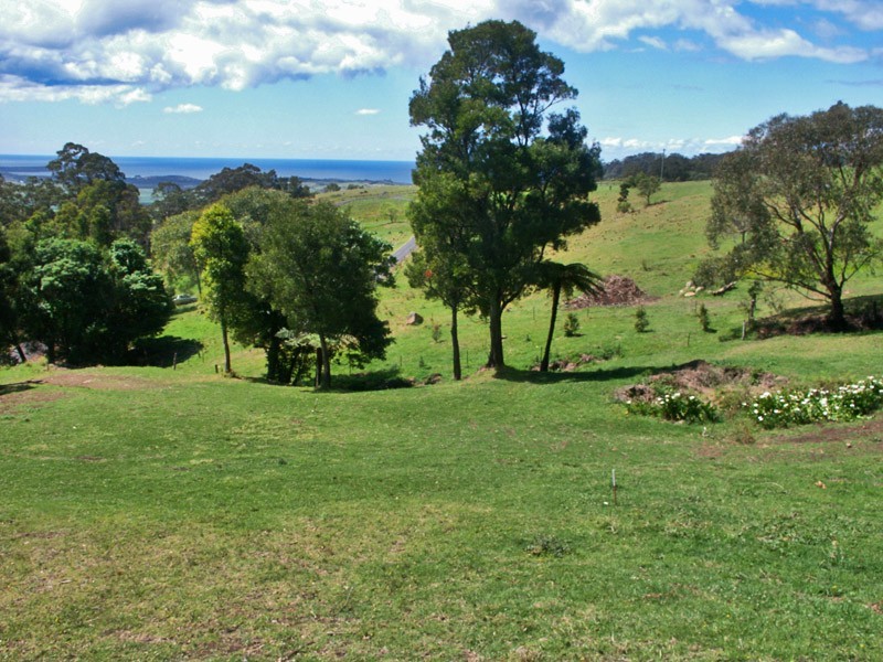 Lot 601 Wallaby Hill Road, Jamberoo NSW 2533