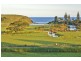 Lot 151 Princes Highway, Gerringong NSW 2534