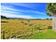 6 Fern Street, Gerringong NSW 2534