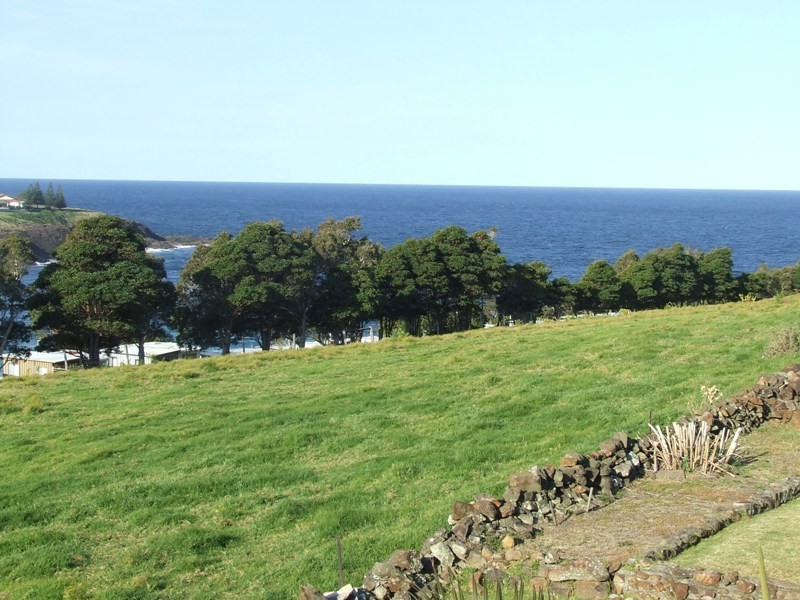 73B Attunga Avenue, Kiama Heights NSW 2533